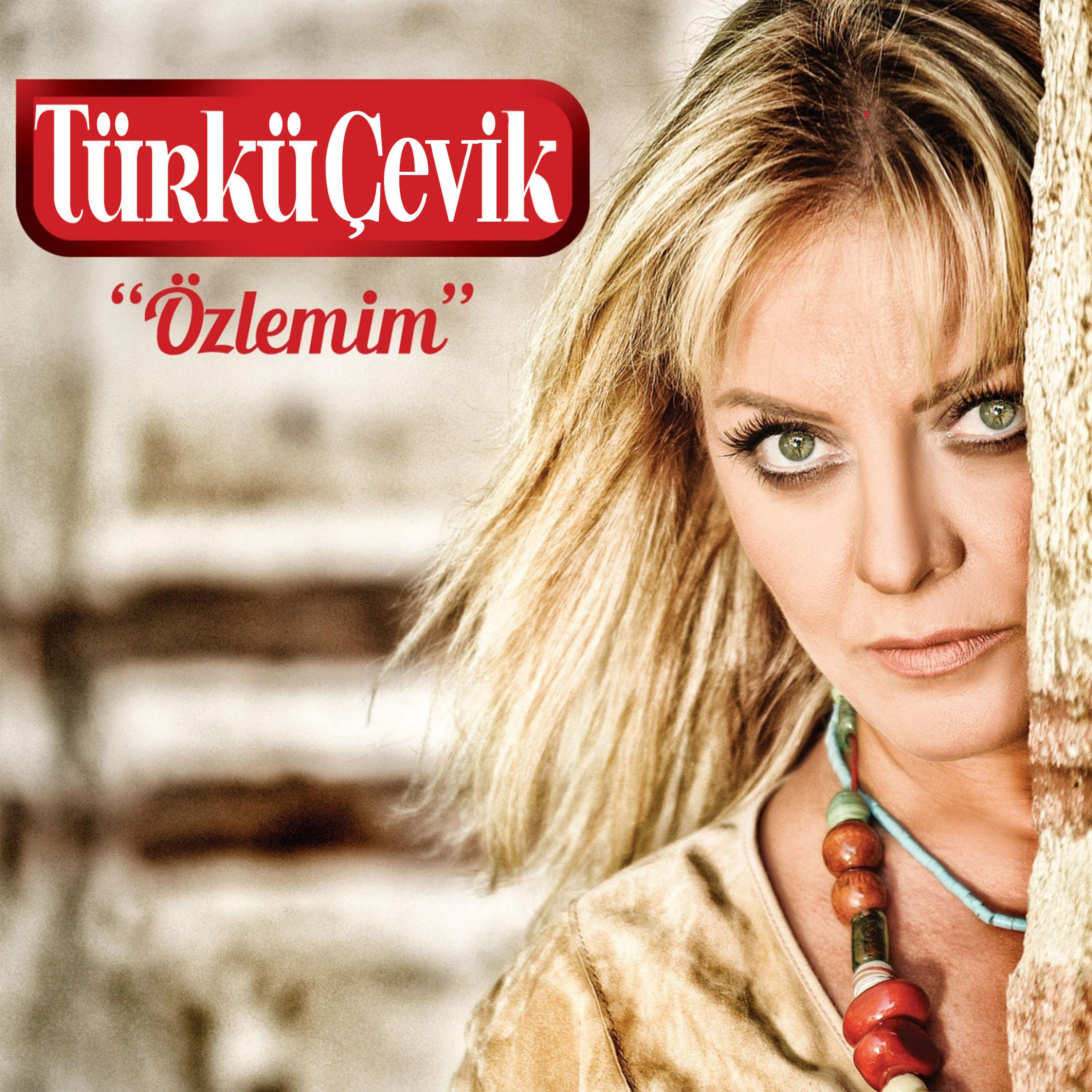 Постер альбома Özlemim