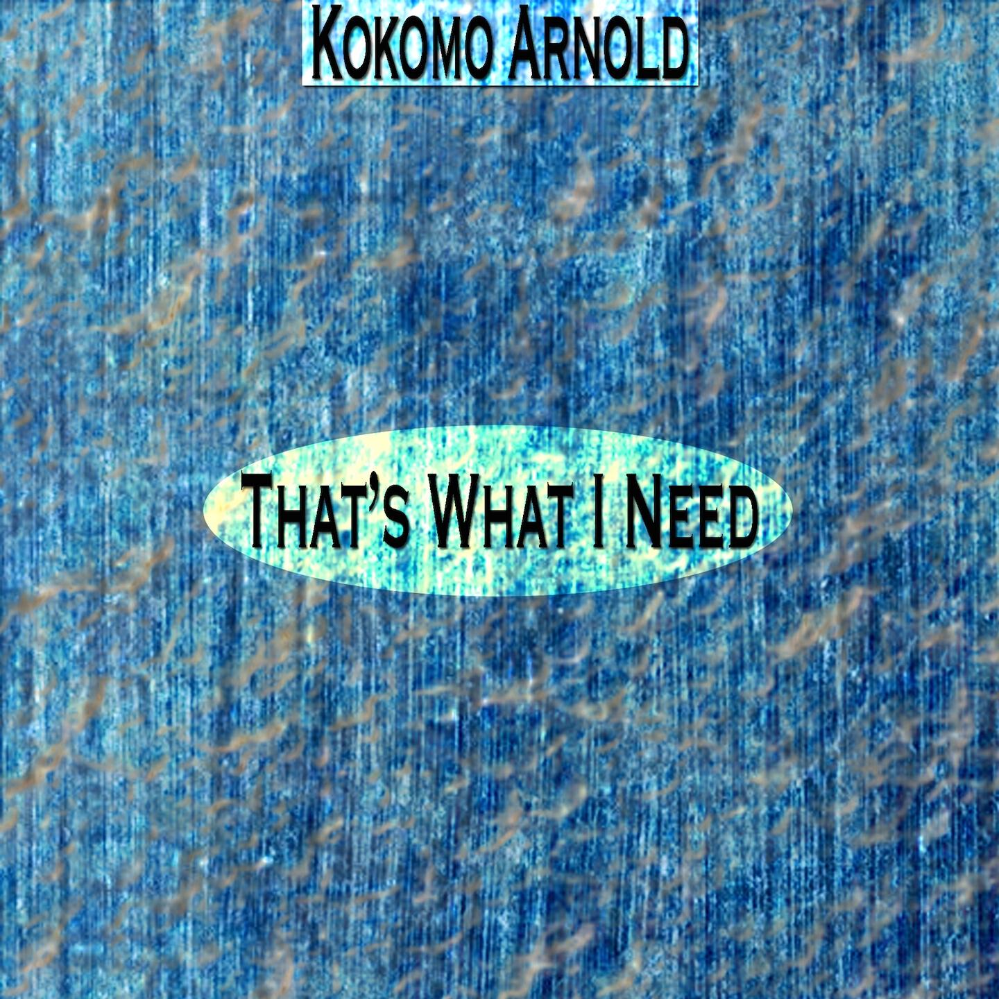 Kokomo Arnold - Policy Wheel Blues (Remastered)