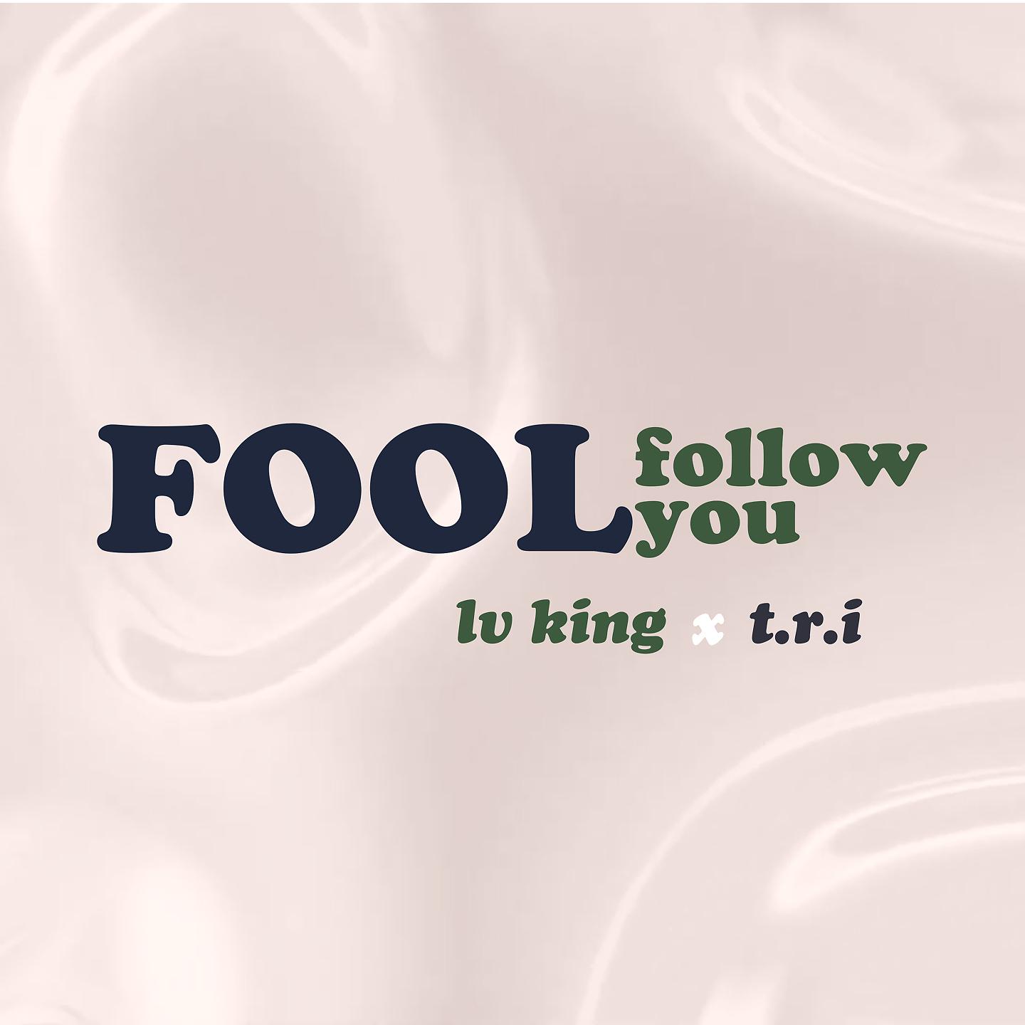 Постер альбома Fool Follow You