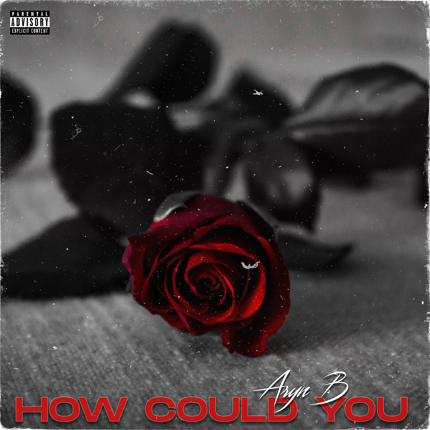 Aryn B - How Could You