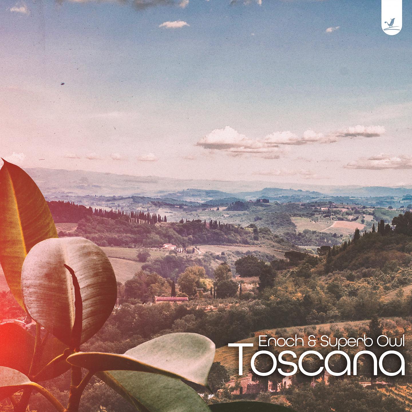 Постер альбома Toscana