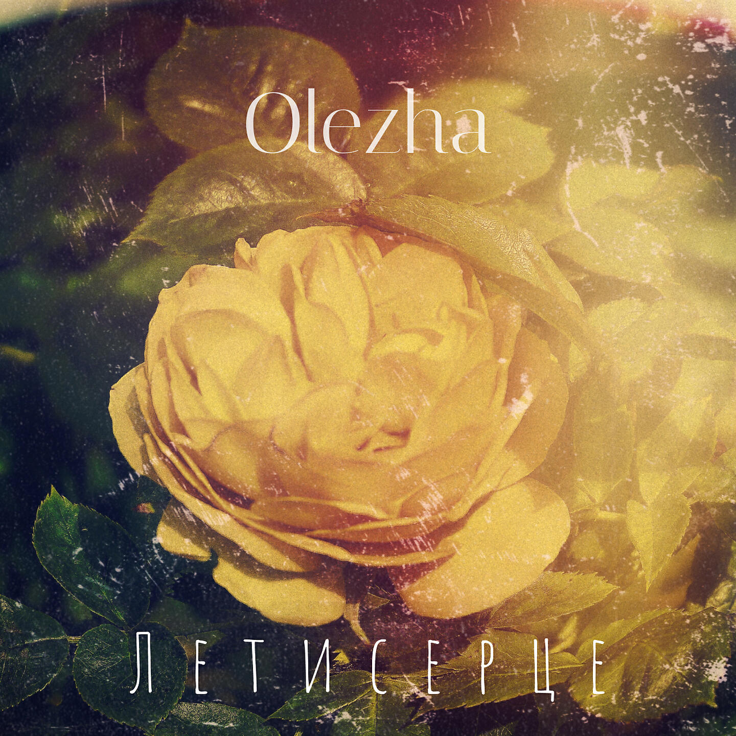 OleZha - Лети серце