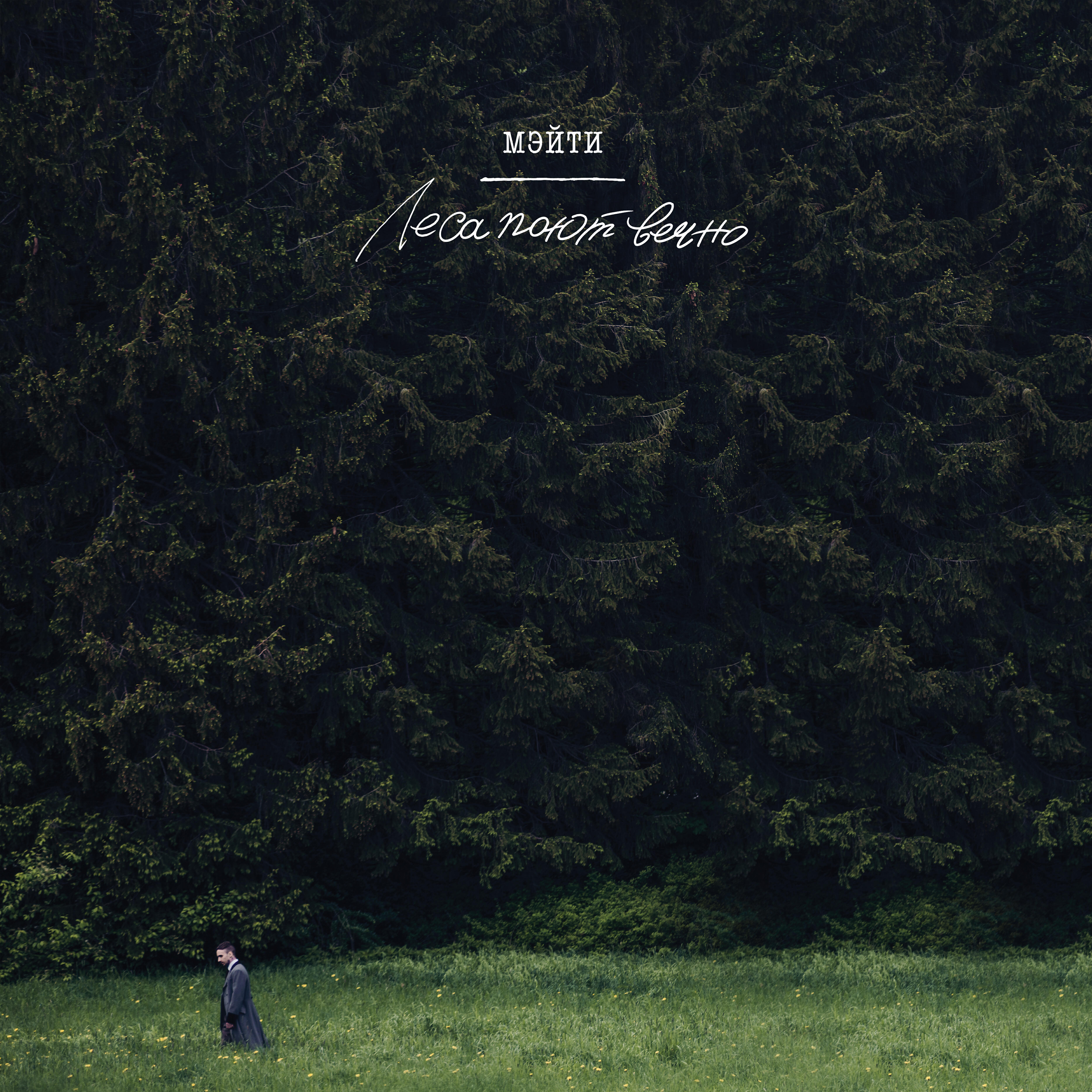 Мэйти - Вопрос-ответ