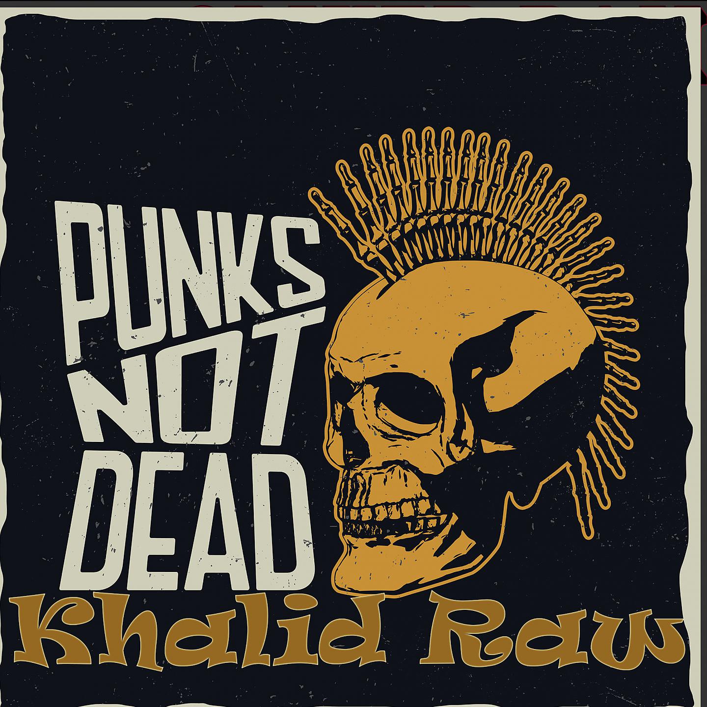 Постер альбома Punks Not Dead
