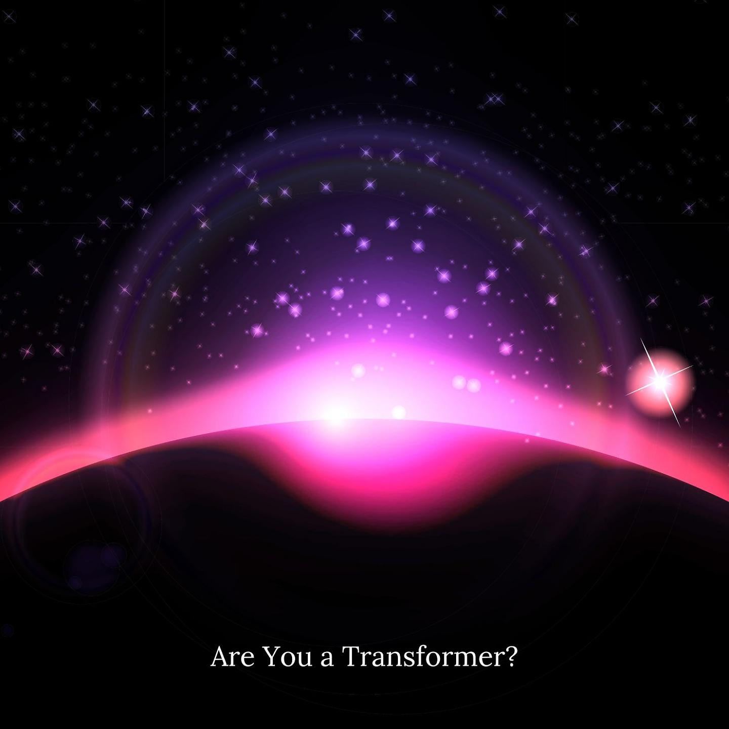 Постер альбома Are You a Transformer?