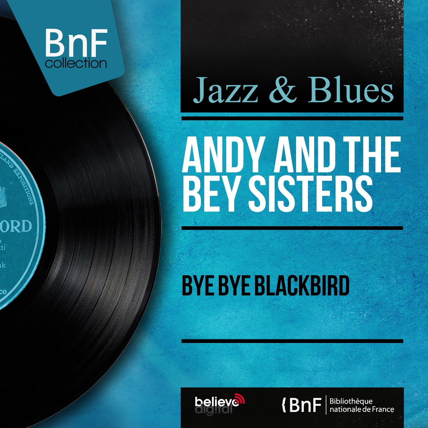 Постер альбома Bye Bye Blackbird (Mono Version)