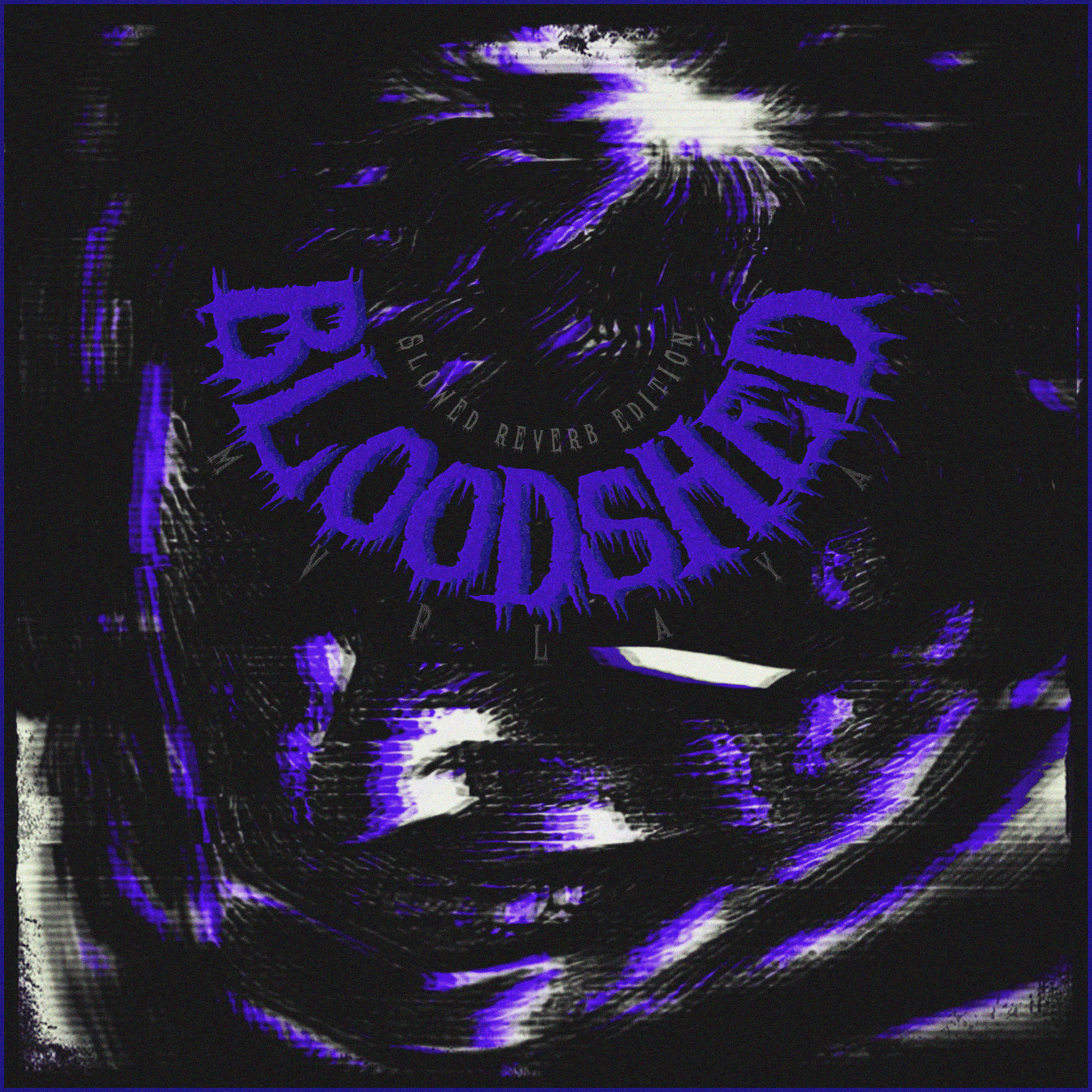 Постер альбома Bloodshed (Slowed Reverb Edition)