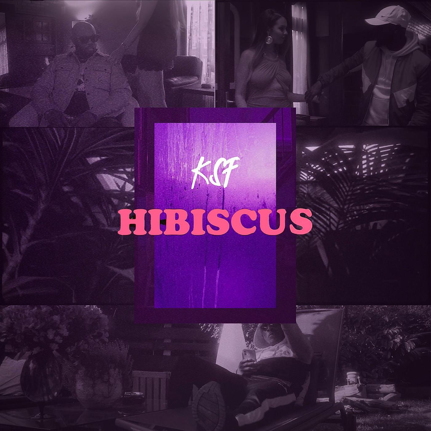 Постер альбома Hibiscus