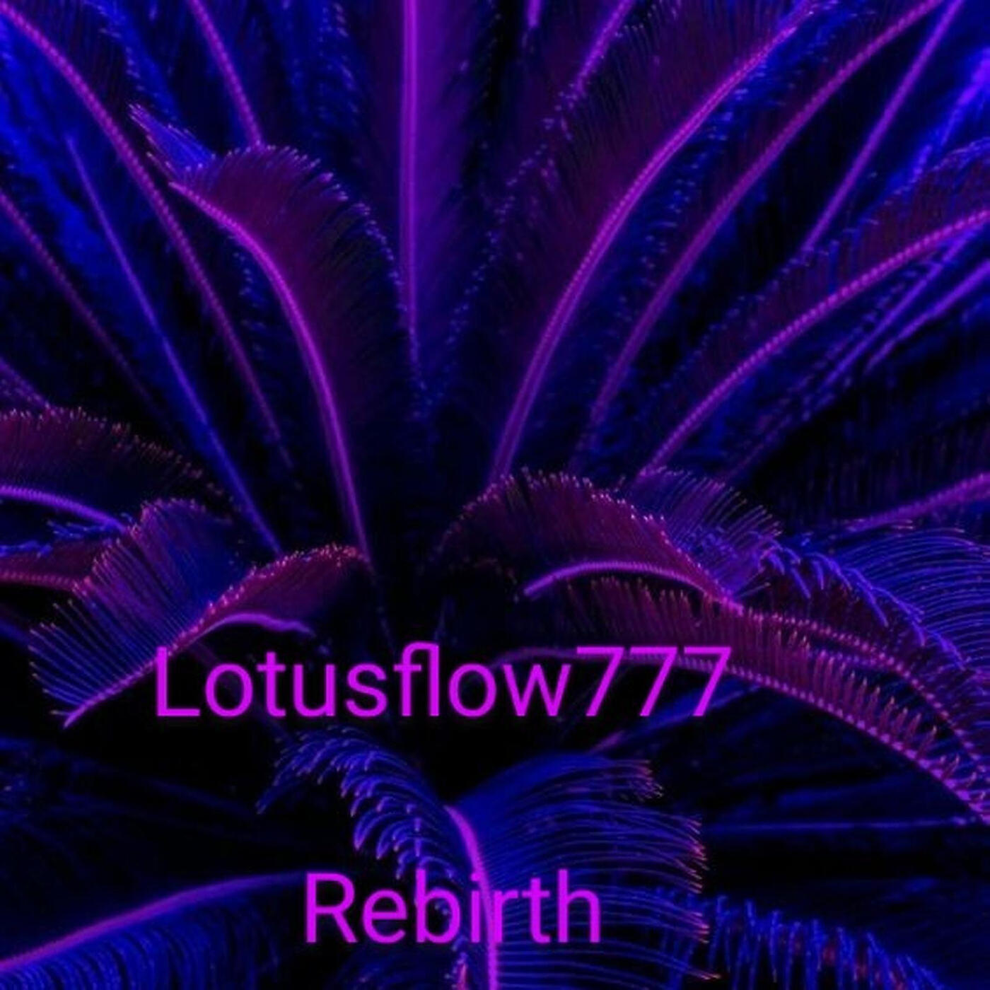 lotusflow777 - Island Intercourse