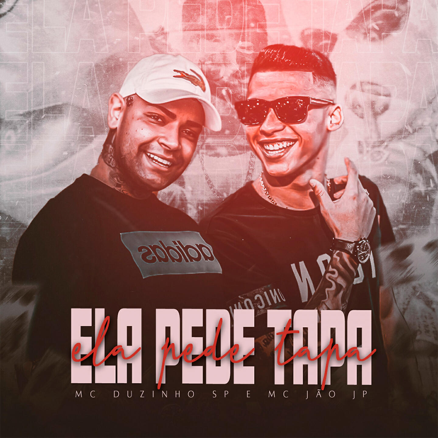 MC Duzinho SP - Ela Pede Tapa
