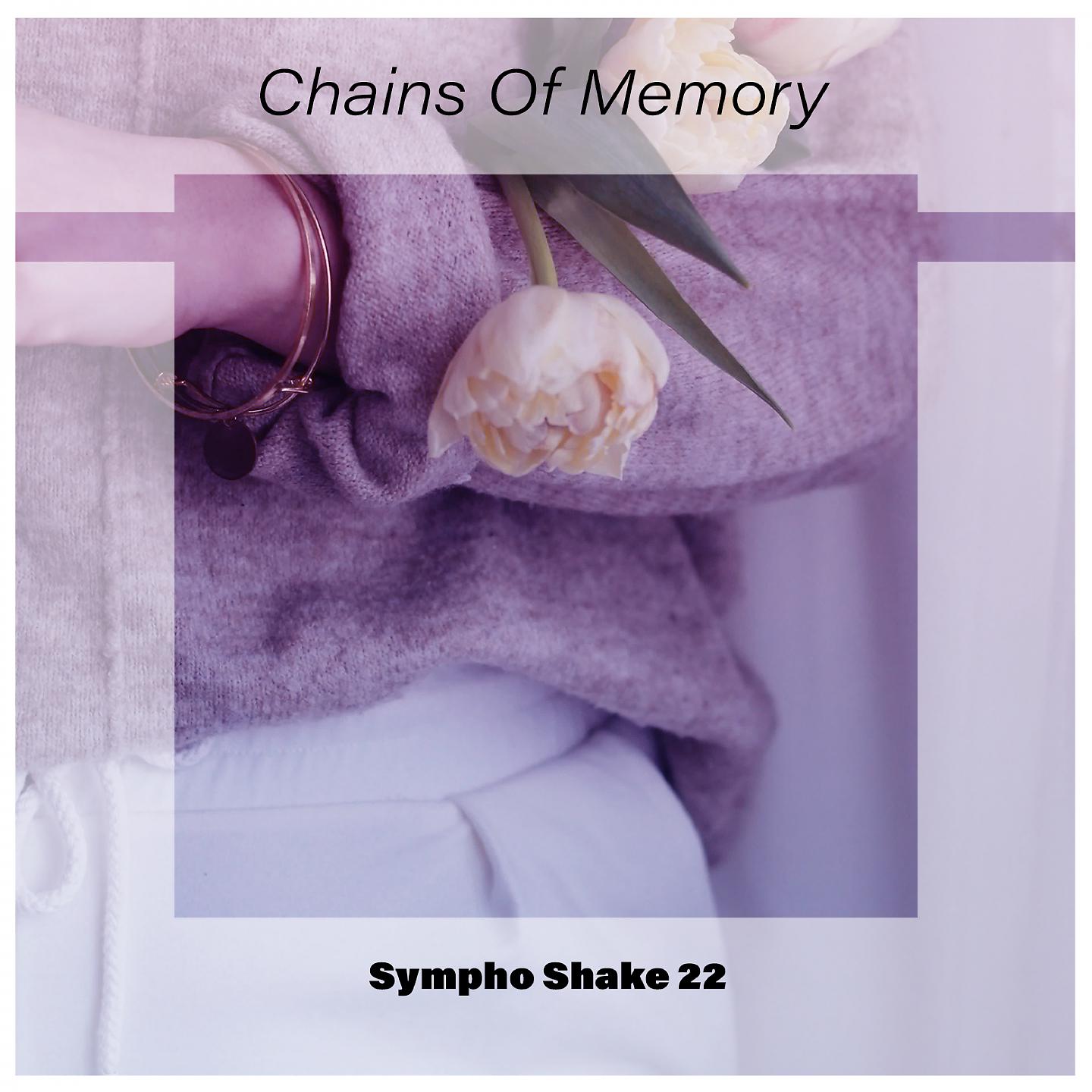Постер альбома Chains of Memory Sympho Shake 22