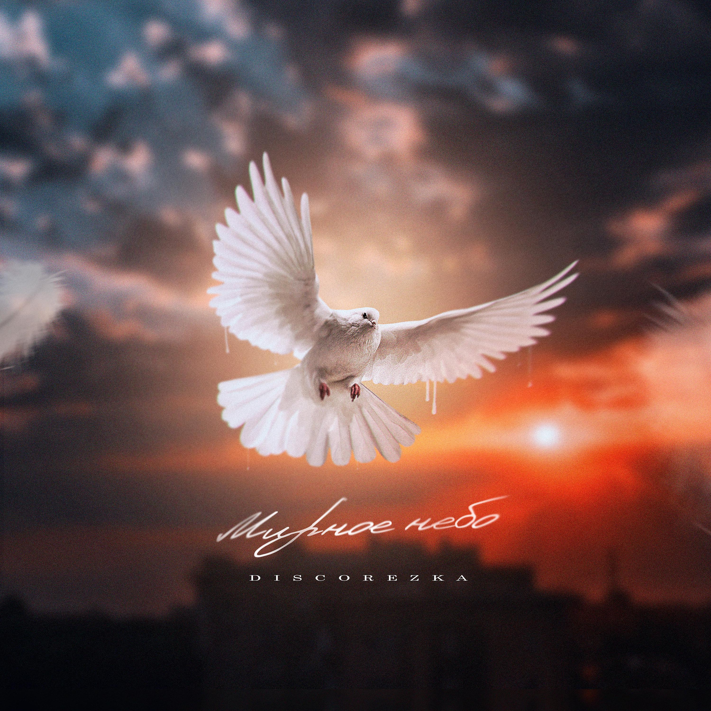 Постер альбома Мирное небо