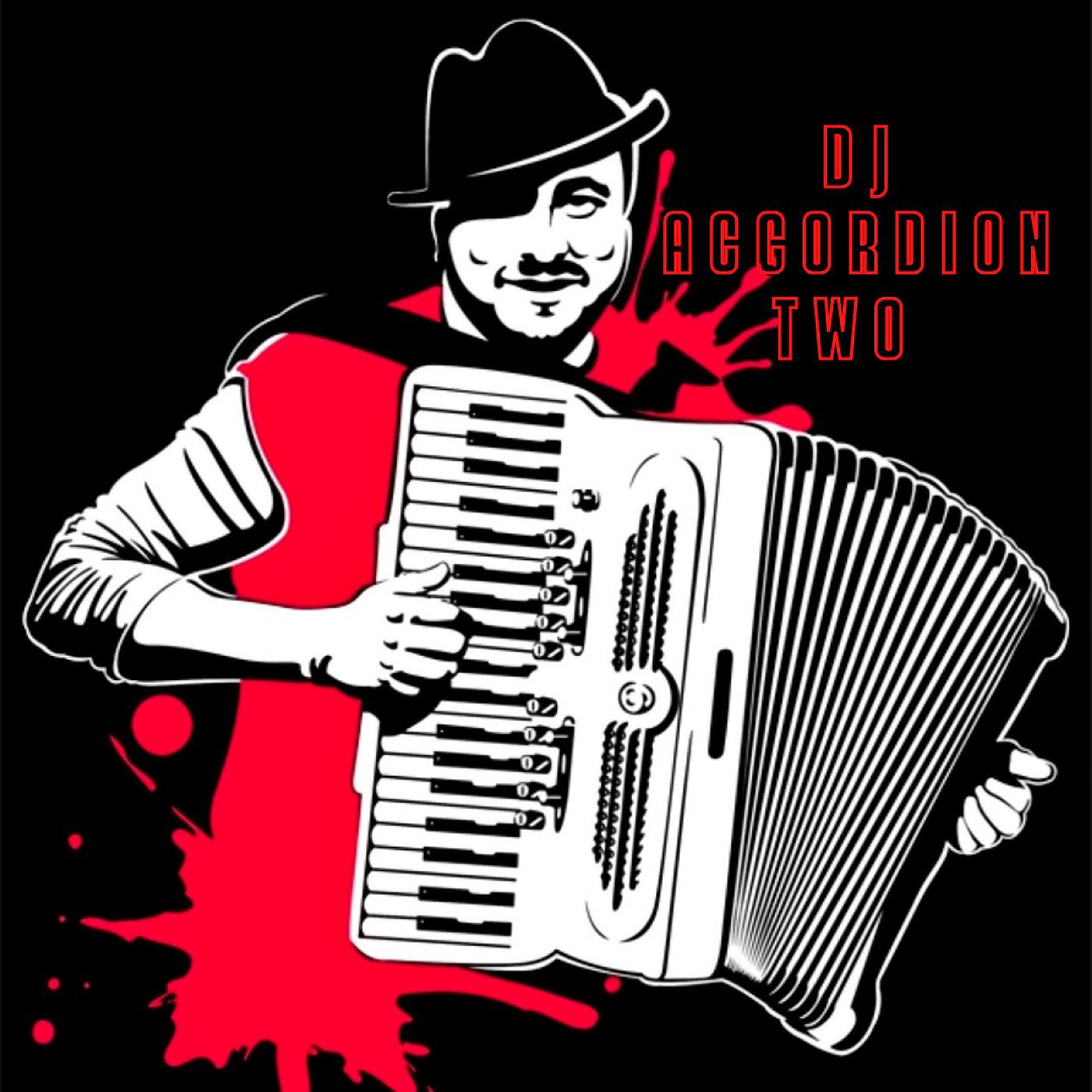 Постер альбома DJ Accordion Two