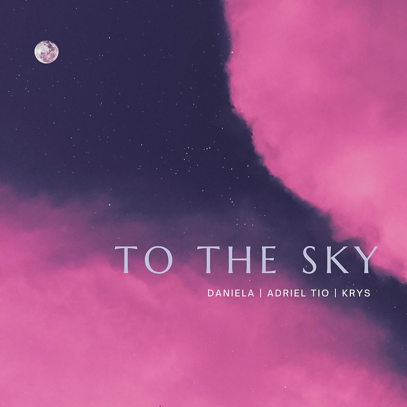 Постер альбома To the Sky (Remix)