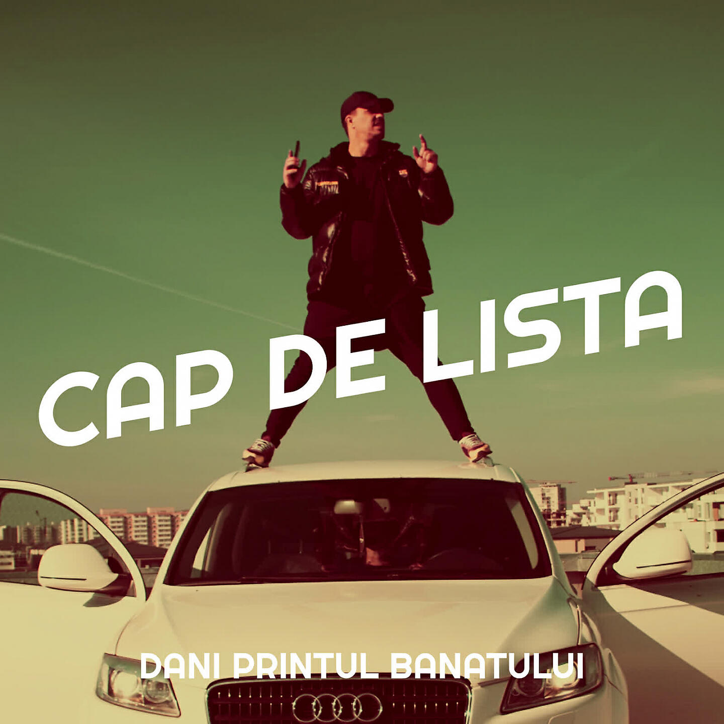 Dani Printul Banatului - Cap De Lista