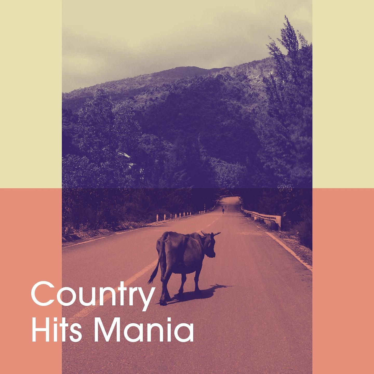 Постер альбома Country Hits Mania