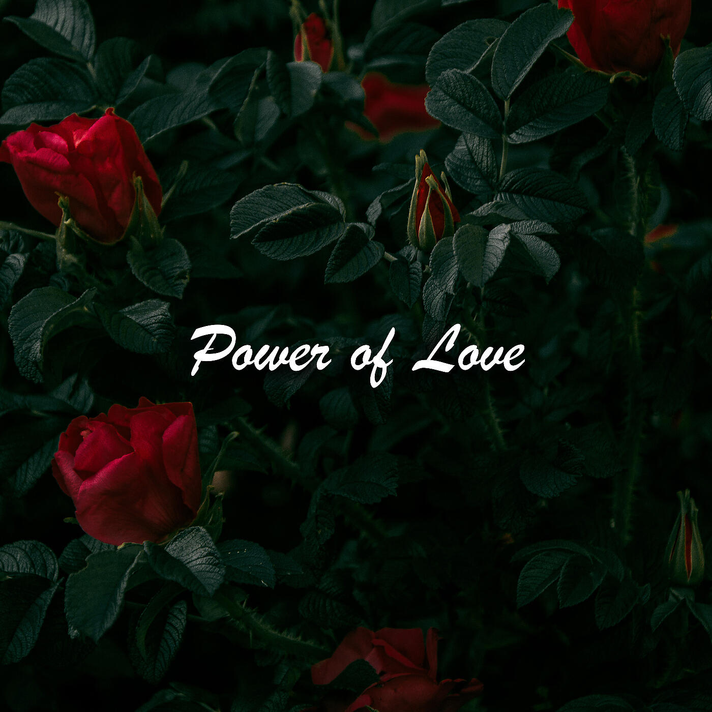 Альбом Power of Love исполнителя Love Dynasty