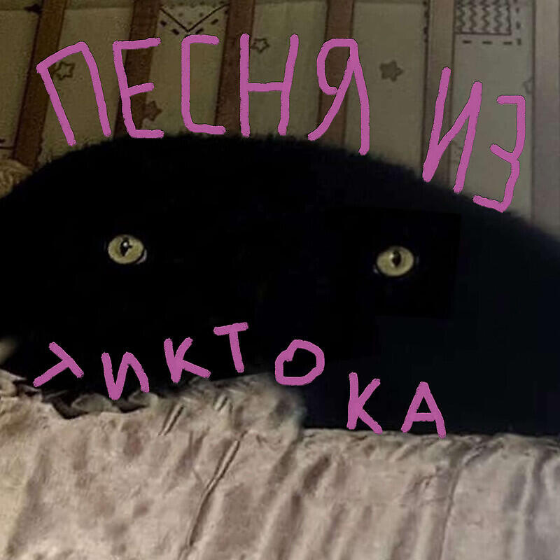 холли ветролов - Песня из тик тока
