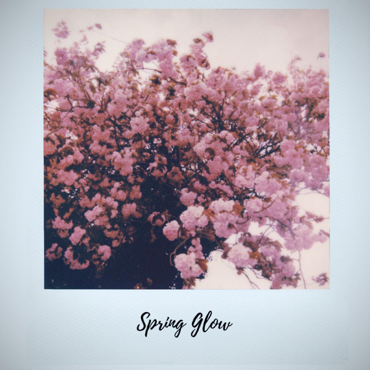 Постер альбома Spring Glow