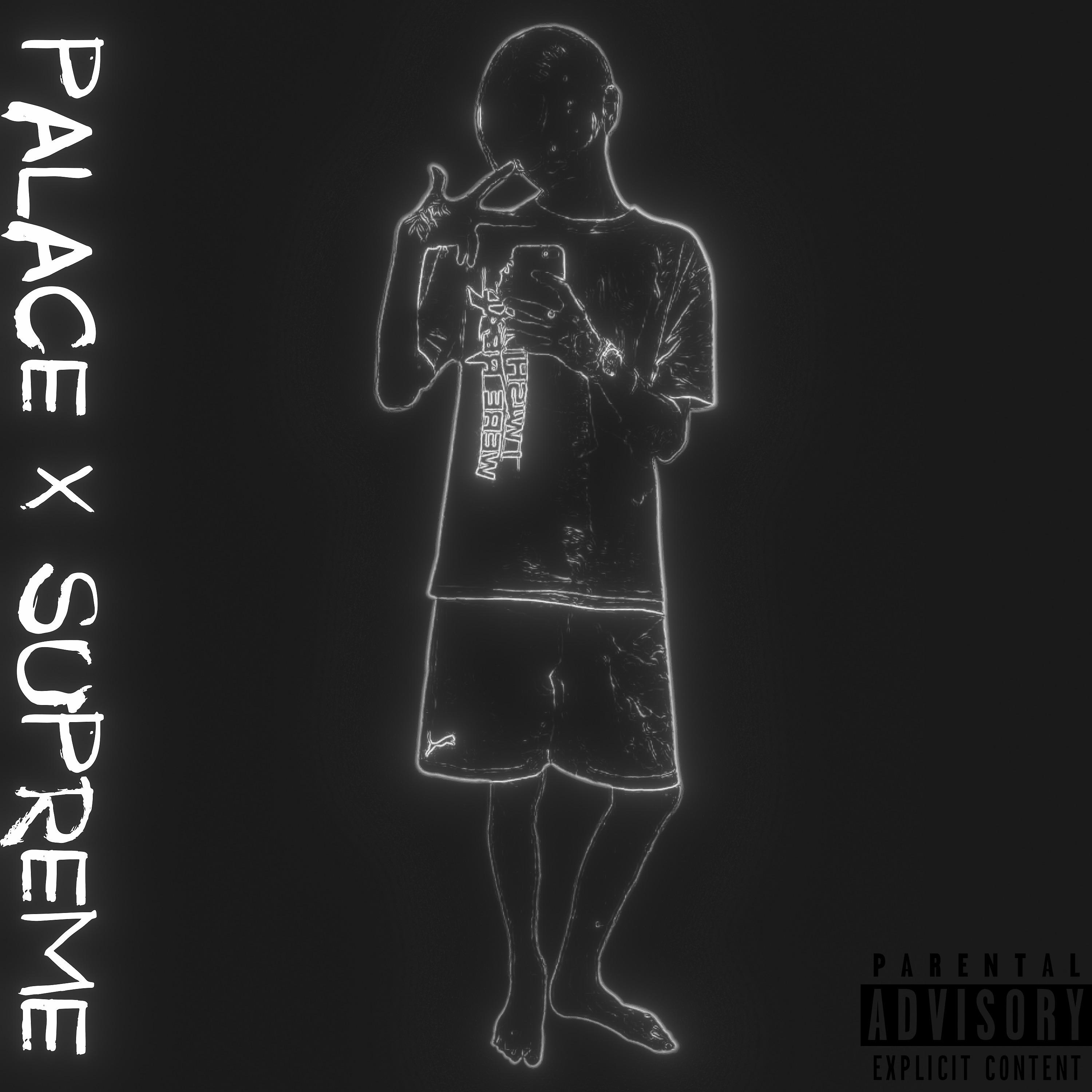 Постер альбома Palace X Supreme