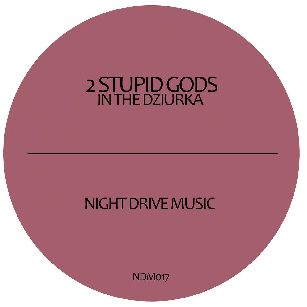 2 Stupid Gods - In the Dziurka (SLG Remix)