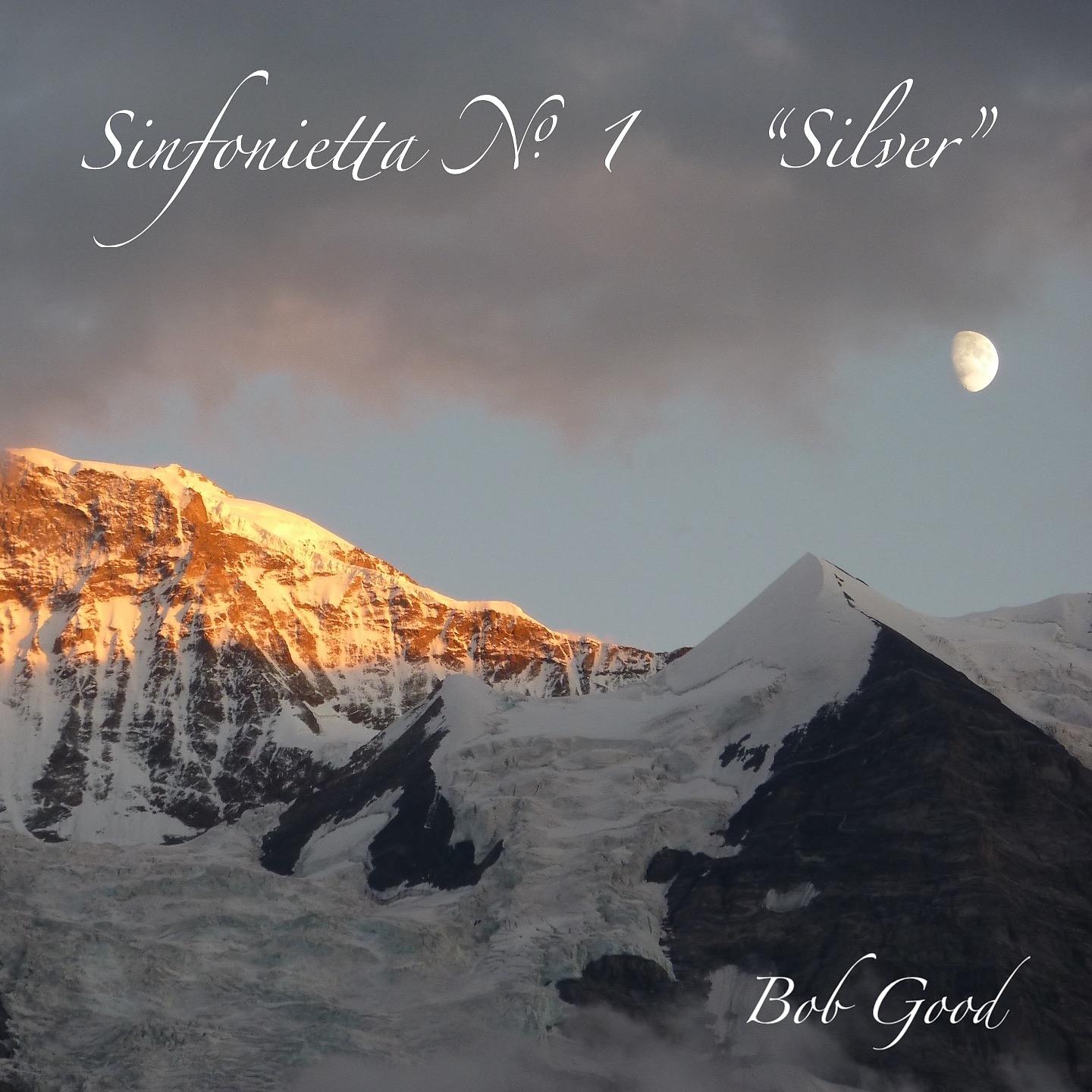 Постер альбома Sinfonietta No. 1 "Silver"