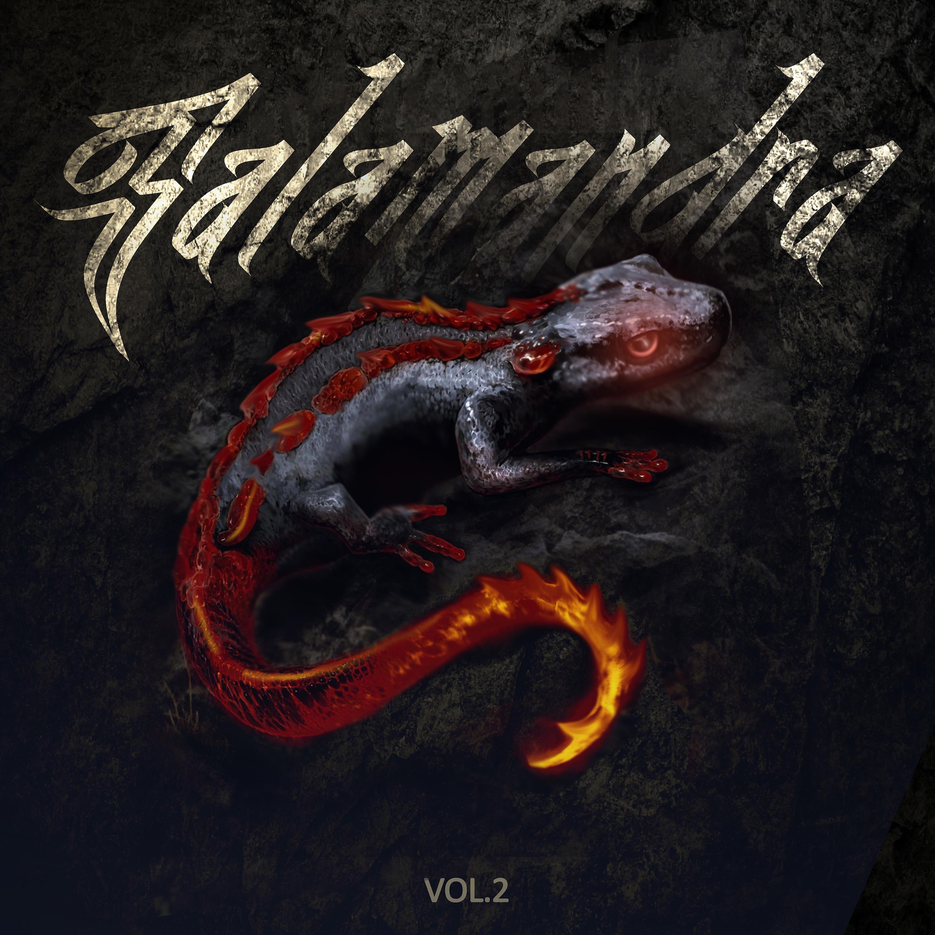 Постер альбома Salamandra, Vol. 2