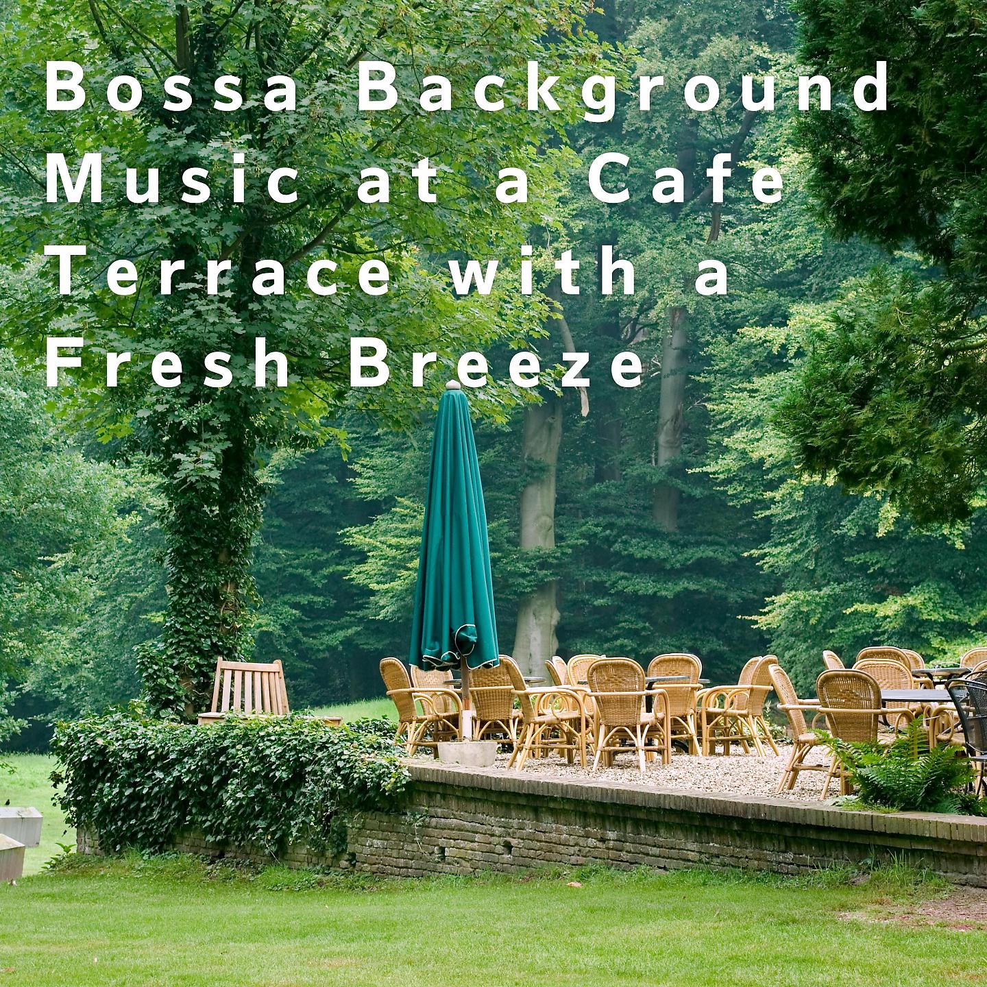 Постер альбома Bossa Background Music at a Cafe Terrace with a Fresh Breeze