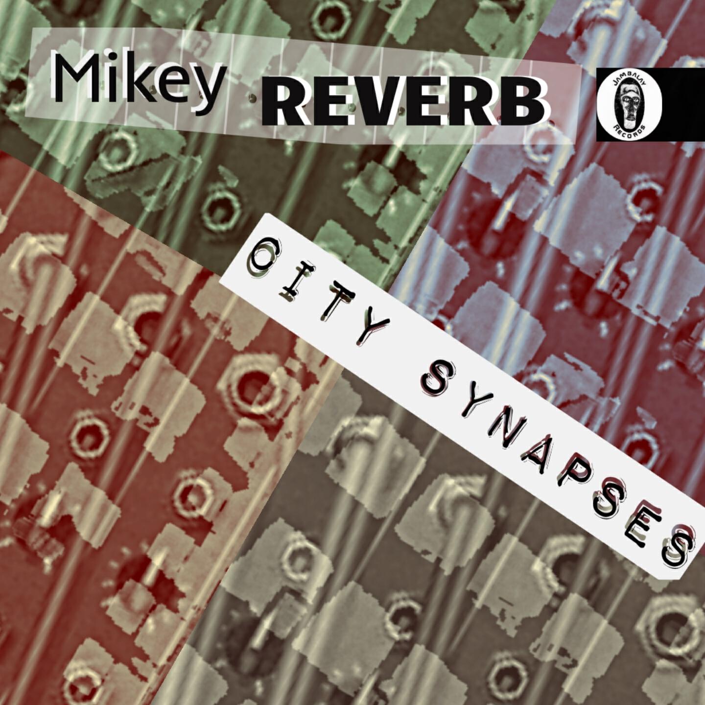 Mikey Reverb - Night Servant