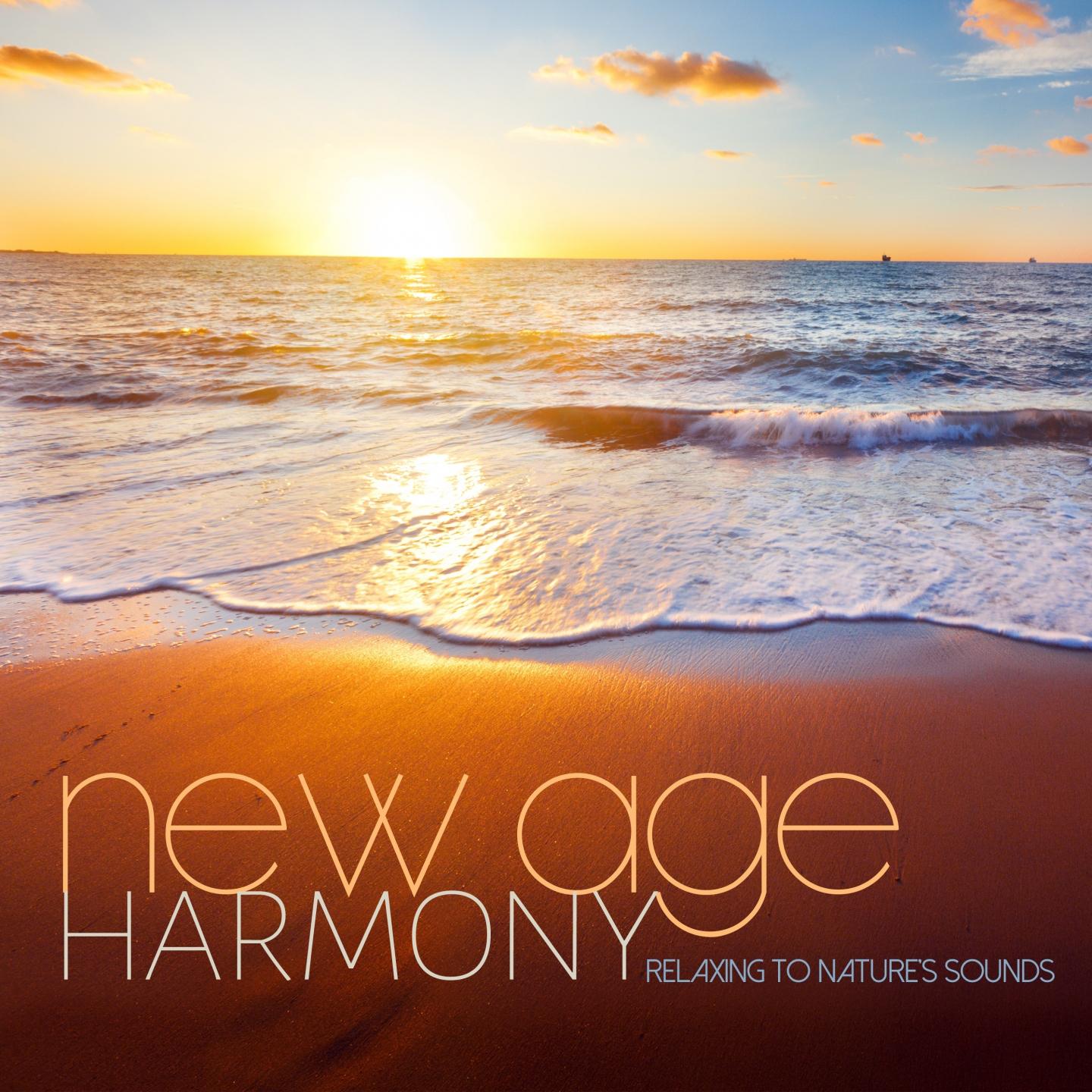 Постер альбома New Age Harmony