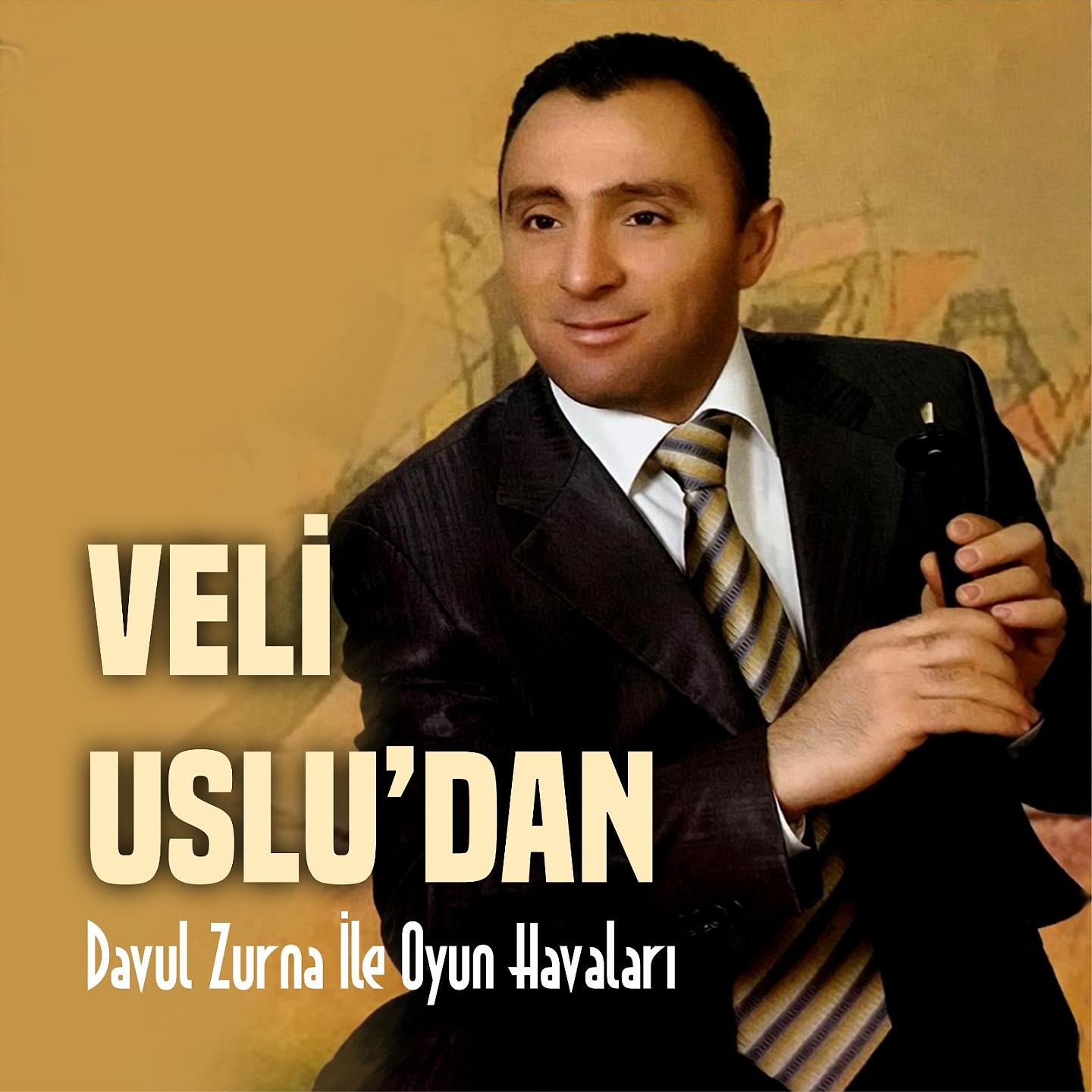 Постер альбома Davul Zurna İle Oyun Havaları