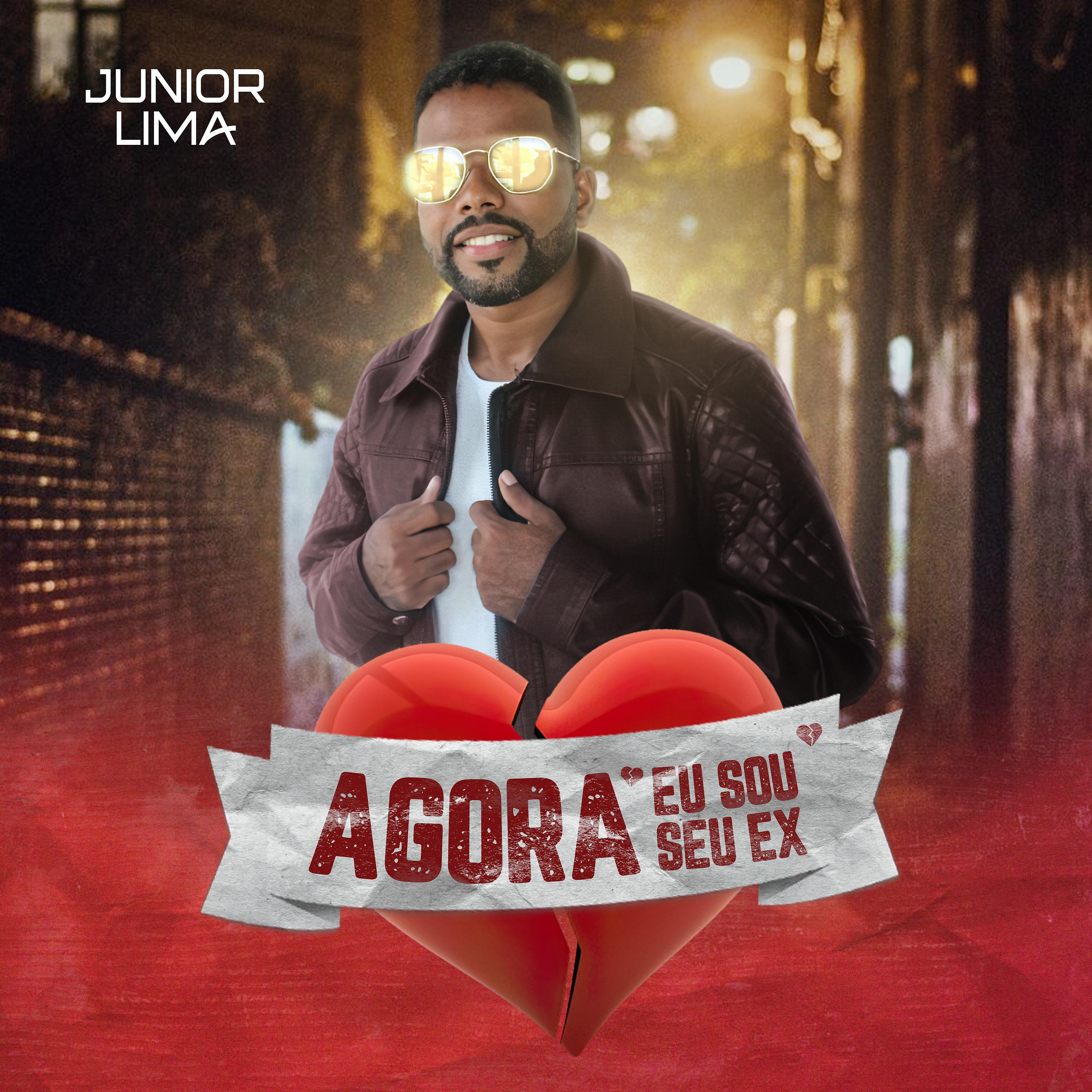 Постер альбома Agora Eu Sou Seu Ex