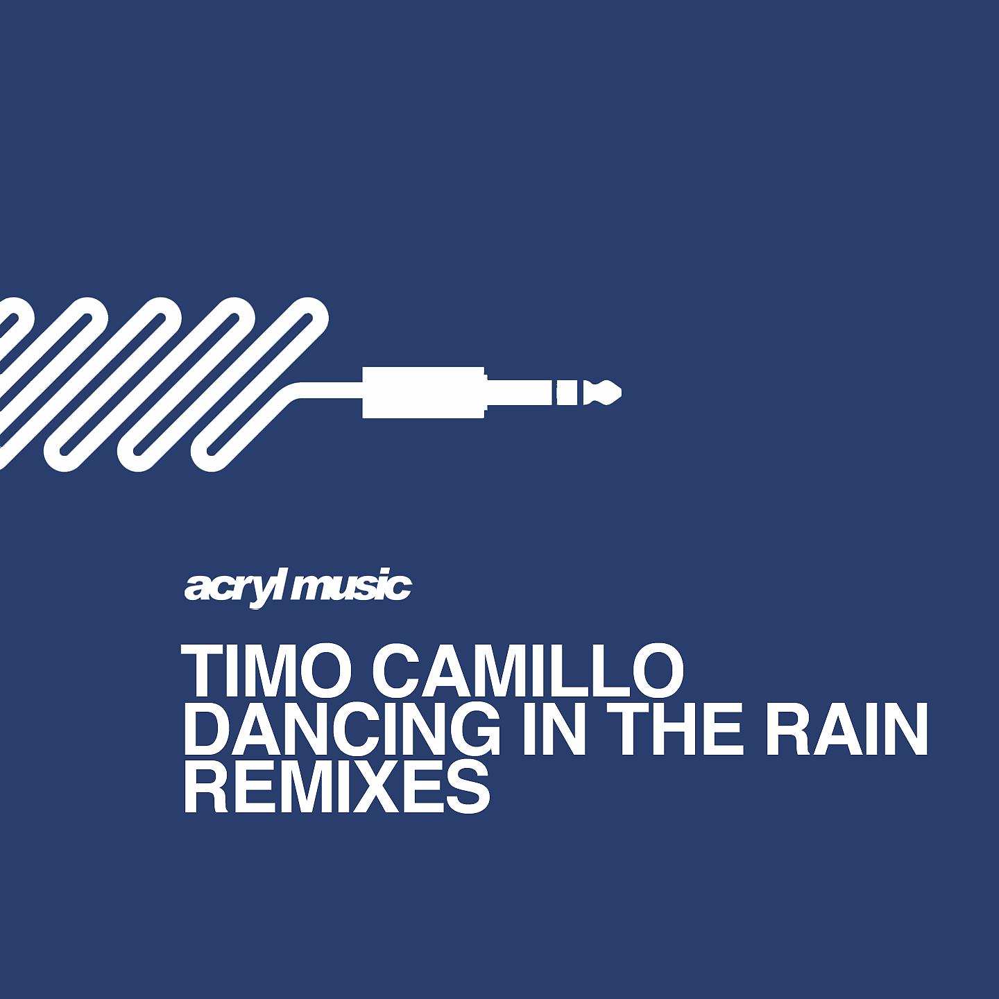 Постер альбома Dancing In The Rain (The Remixes)