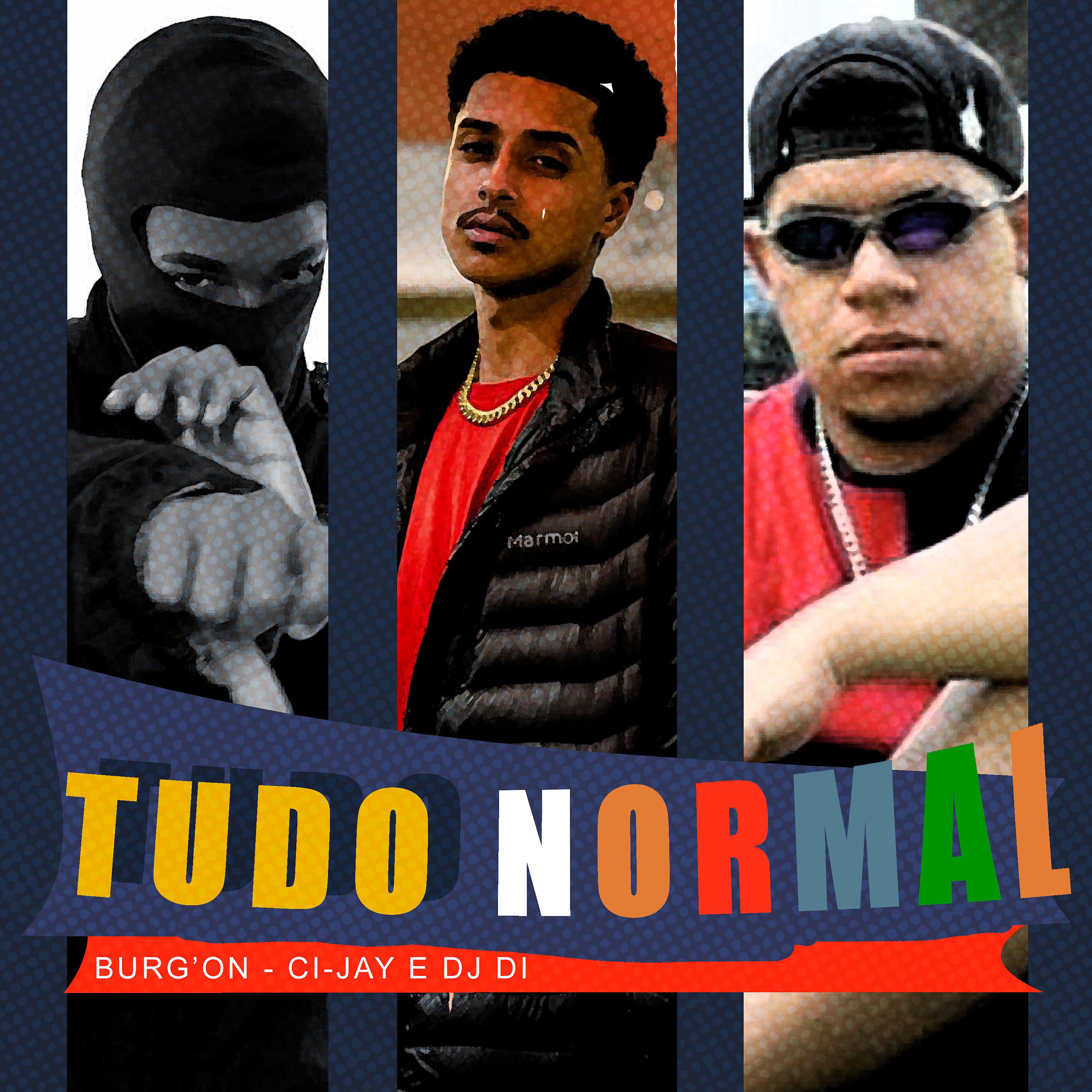 Постер альбома Tudo Normal