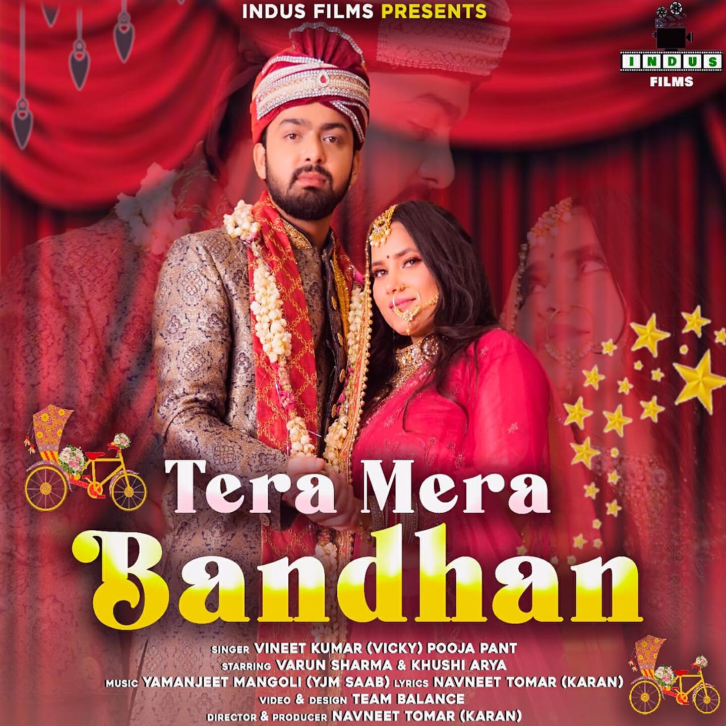 Vineet Kumar Vicky - Tera Mera Bandhan