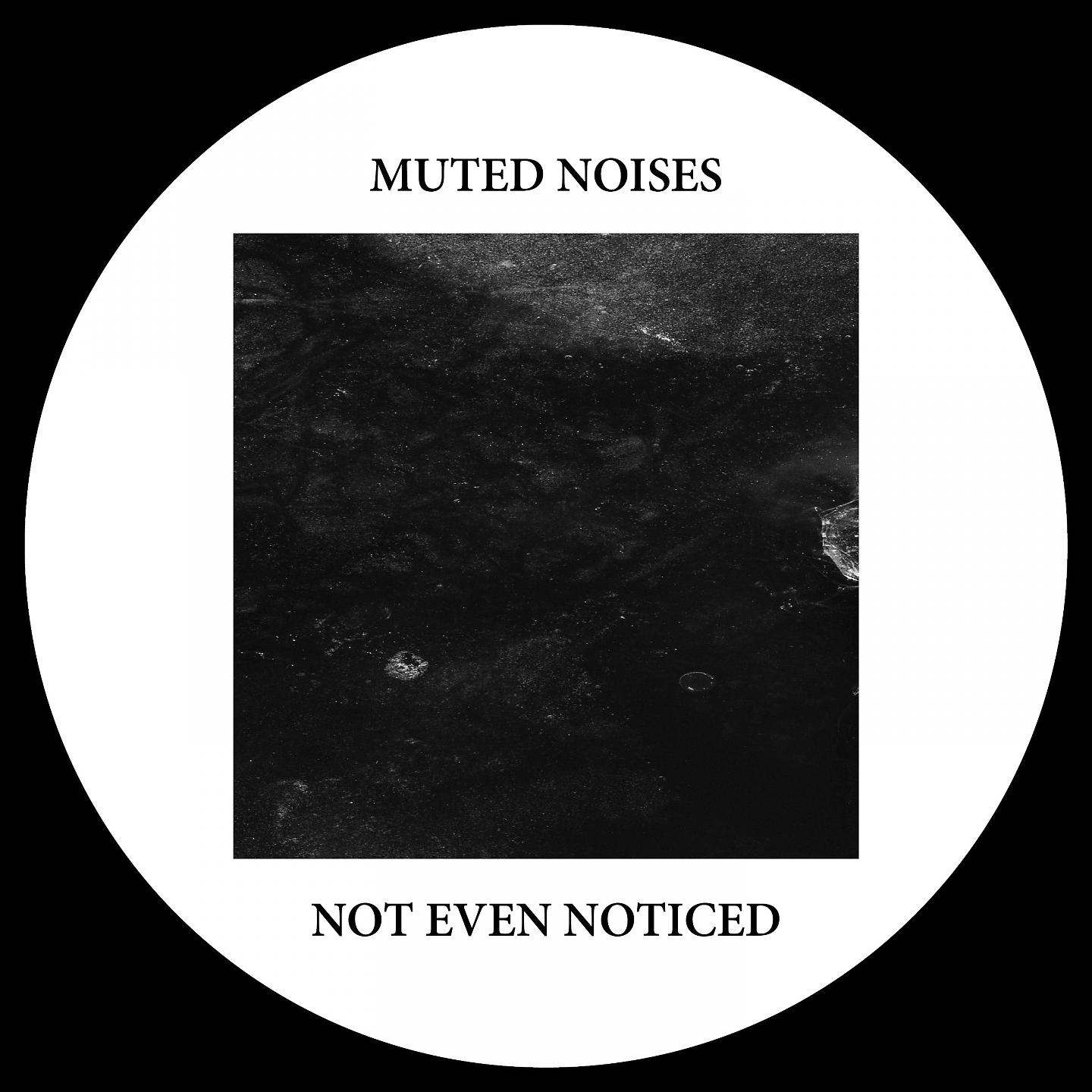 Постер альбома Muted Noises