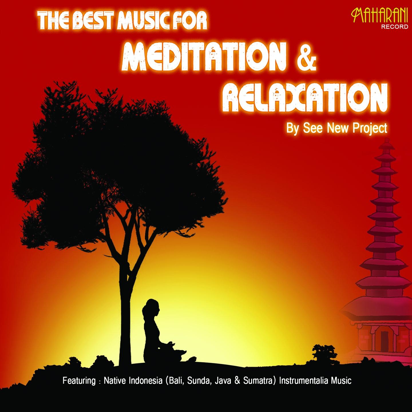 Постер альбома The Best Music for Meditation & Relaxation