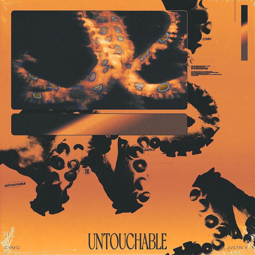 Постер альбома Untouchable