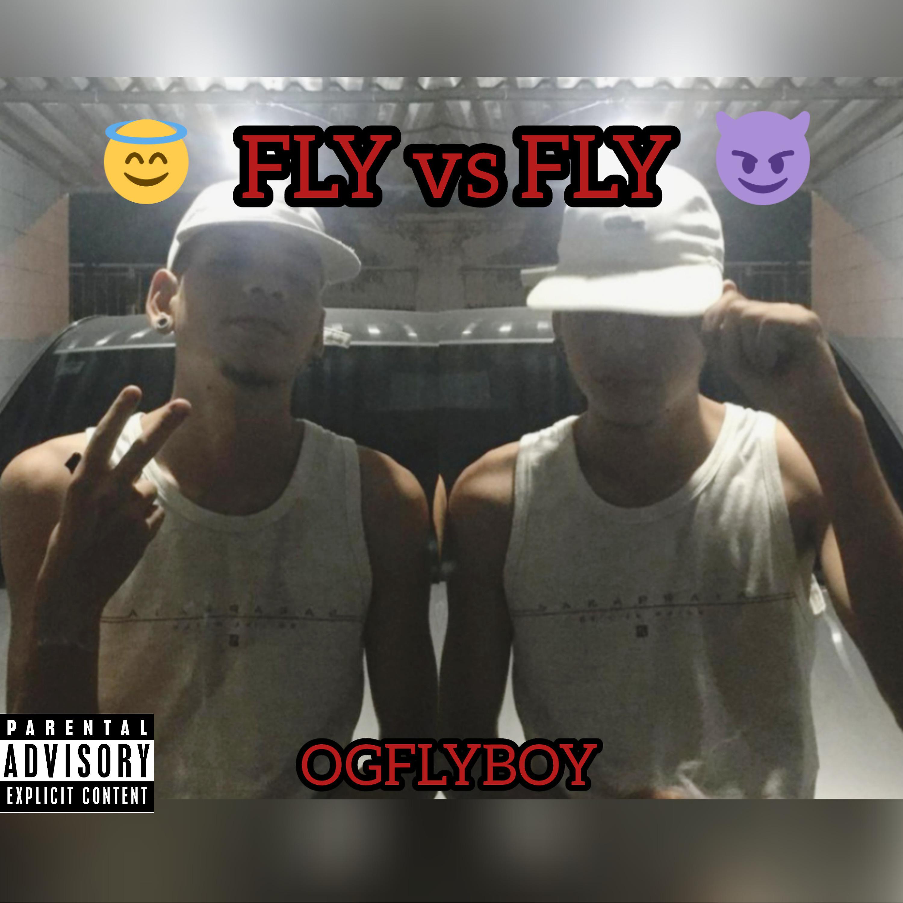 Постер альбома Fly Vs Fly