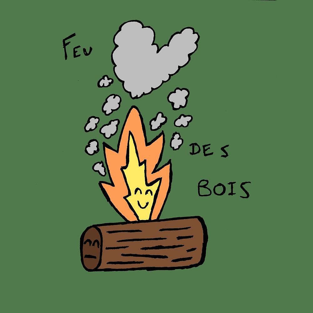 Постер альбома Feu des bois