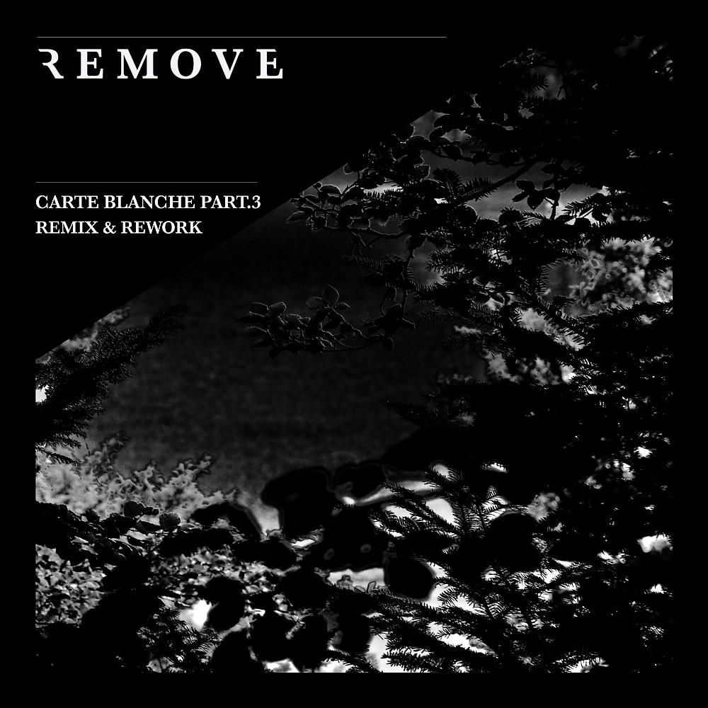 Постер альбома Carte Blanche, Pt. 3: Remix & Rework