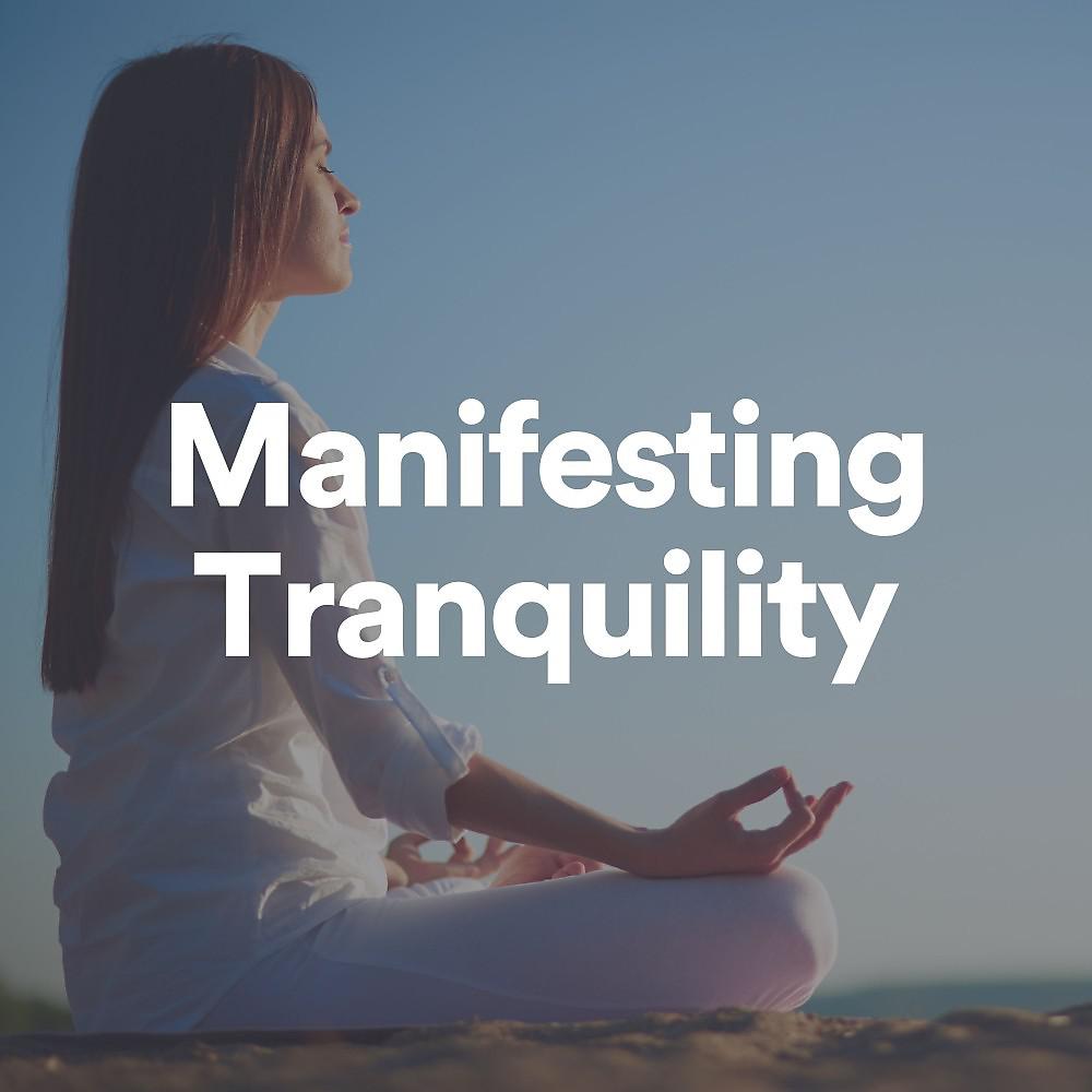 Постер альбома Manifesting Tranquility