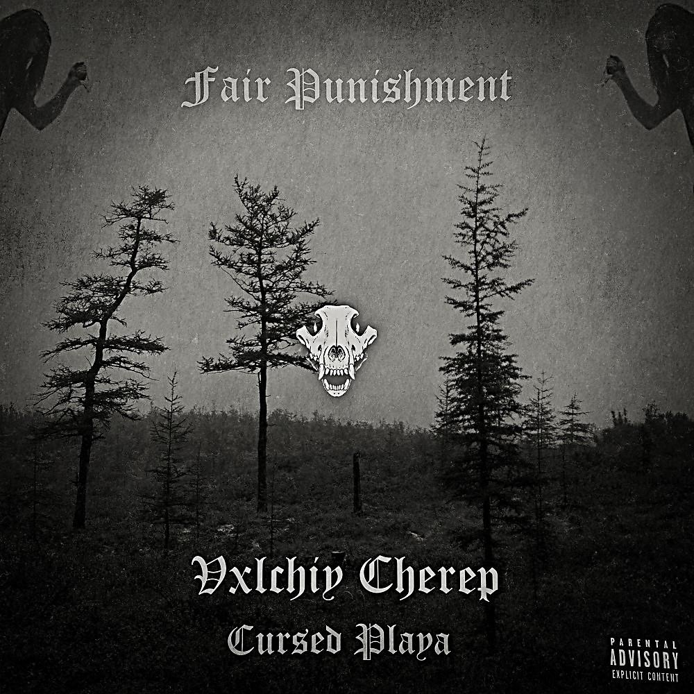 Постер альбома Fair Punishment (Prod. Cursed Playa, Vxlchiy Cherep)