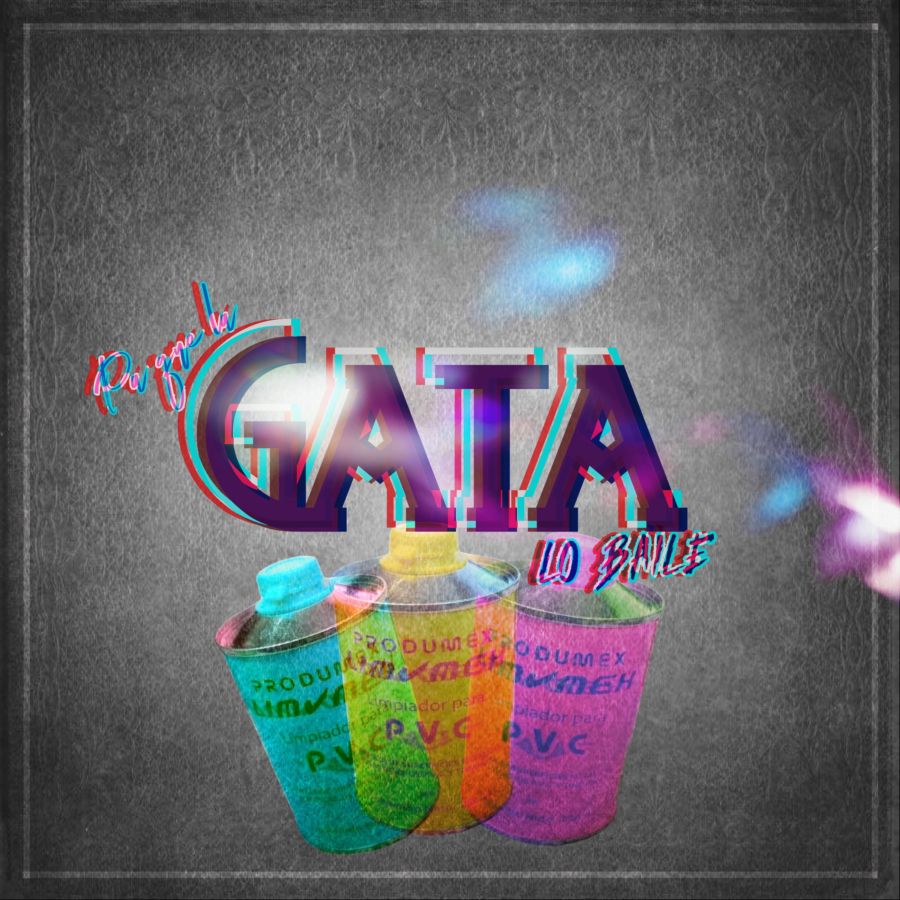 Постер альбома Pa Que la Gata Lo Baile