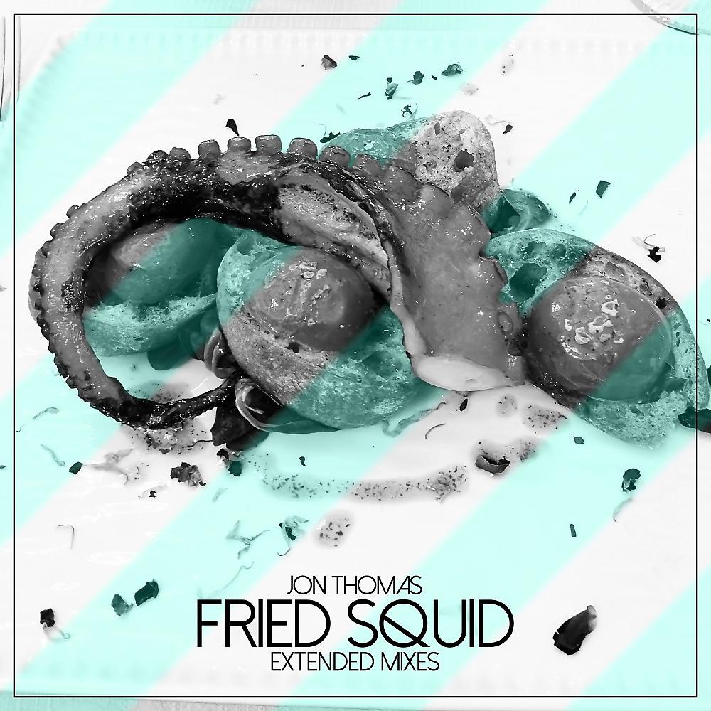 Постер альбома Fried Squid (Extended Mixes)
