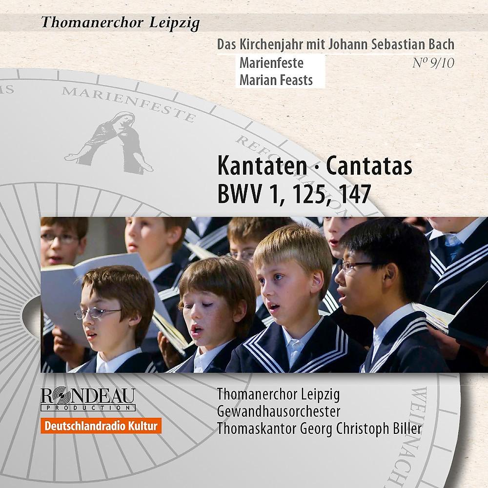 Постер альбома Johann Sebastian Bach: Cantatas / Kantaten BWV 1, BWV 125, BWV 147 (Das Kirchenjahr mit Bach: Marienfeste / The Liturgical Year with Bach: Marian Feast Vol. 9)