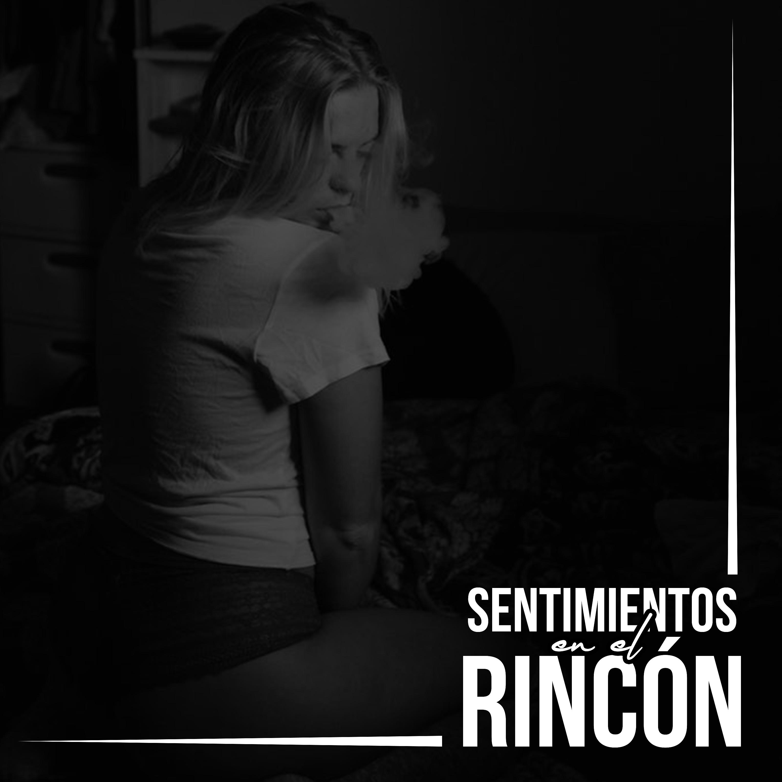 Постер альбома Sentimientos en el Rincón