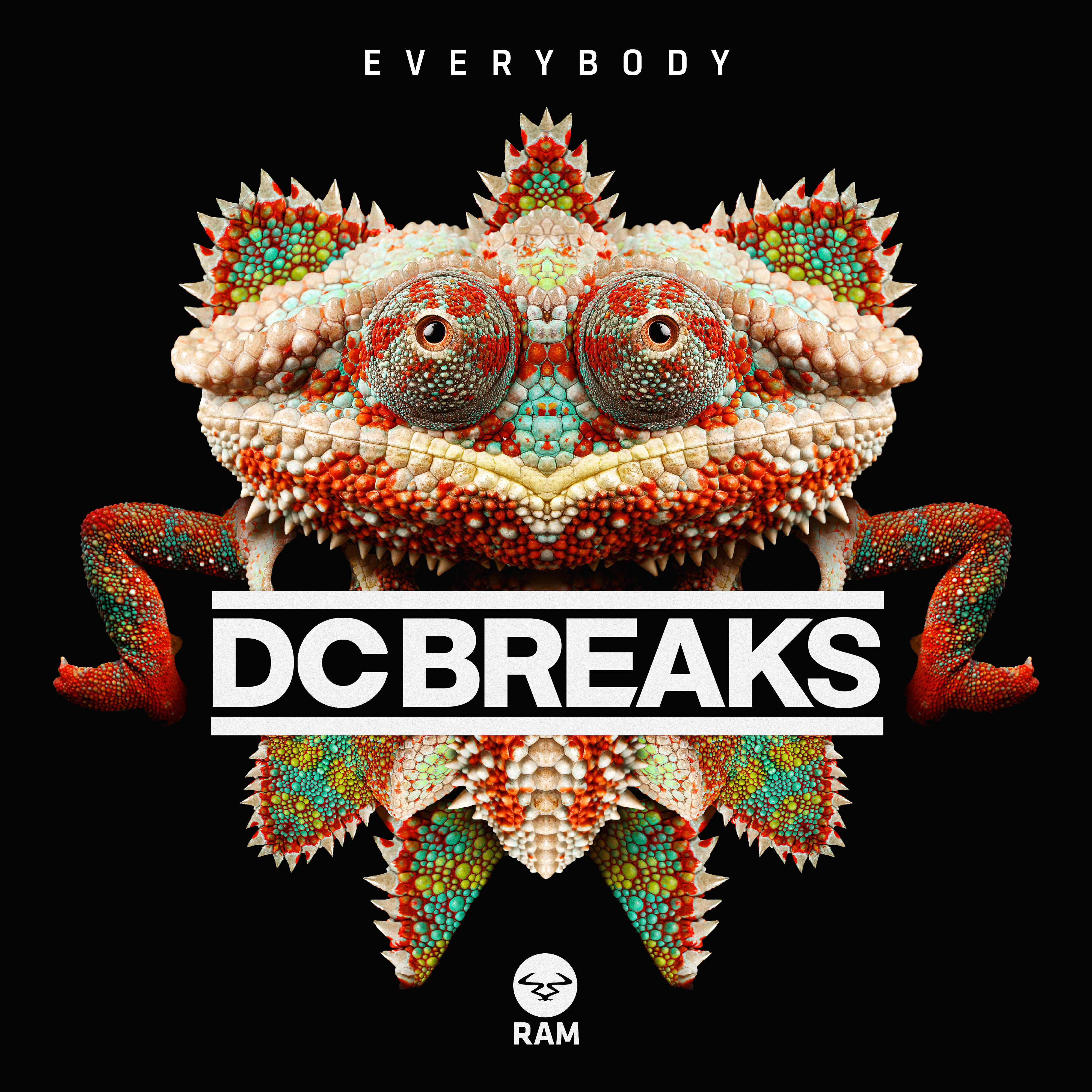 DC Breaks - Everybody