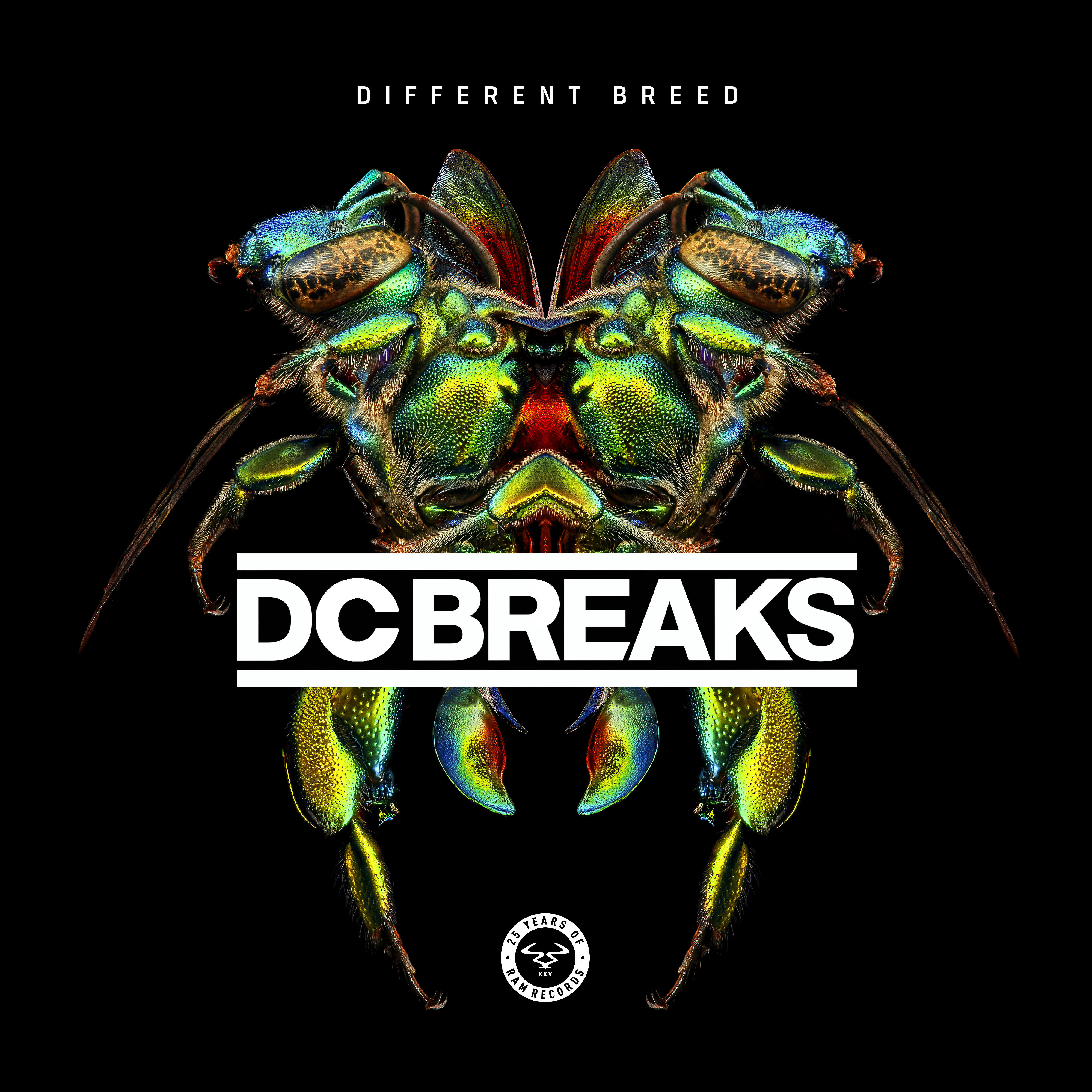DC Breaks - Dead or Alive (feat. Nuklear)