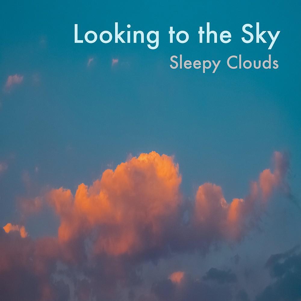 Постер альбома Looking to the Sky